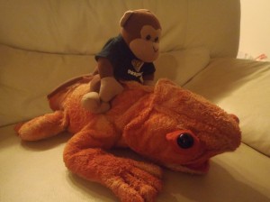 monkey back