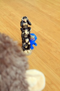IMG_5724